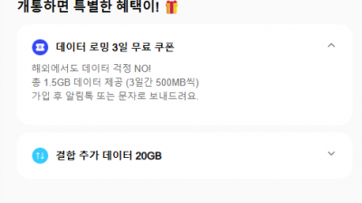 핀다1100,핀다이렉트SK 1100원,핀다SK,핀다이렉트