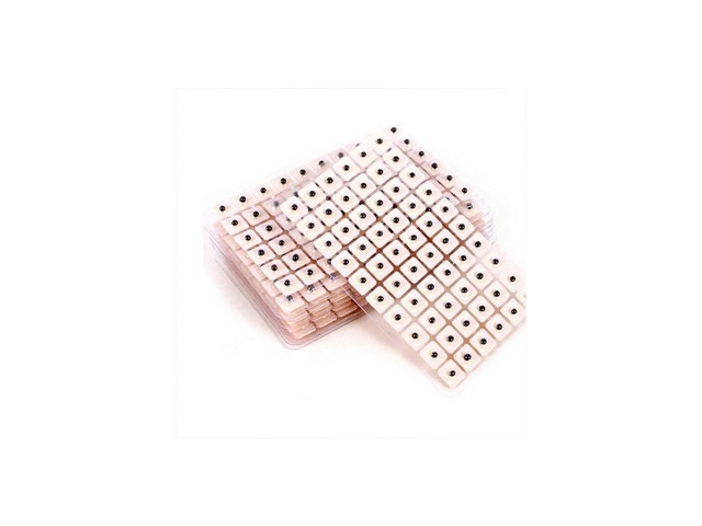 붓기혈자리 올해 화제의 아이템