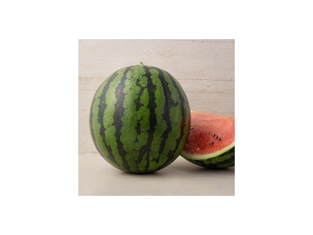 시원한과일 가이드 정보 공유